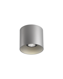 Wever & Ducré Ray 1.0 PAR16 Plafondlamp Aluminium