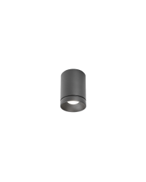 Wever & Ducré Taio Outdoor 1.0 LED Ceiling Spot Grey 2700K Dimmable