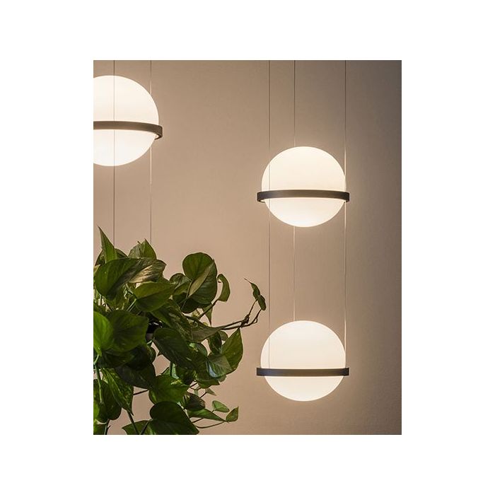 bouw Specialist Omringd Vibia Palm 3724 Hanglamp | ACE Lighting